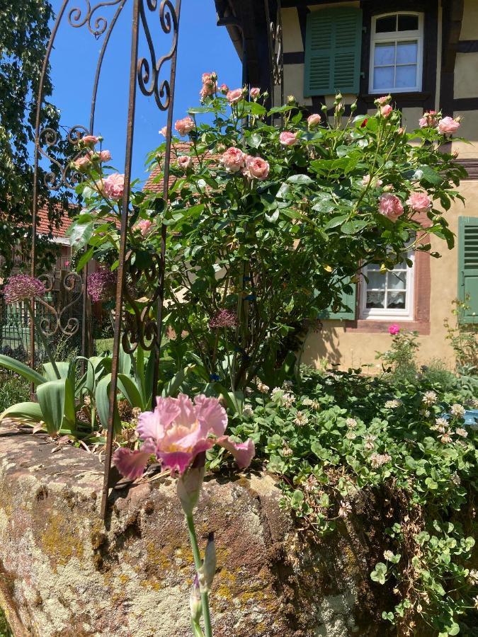 Au Fil Du Temps Bed & Breakfast Imbsheim Exterior photo